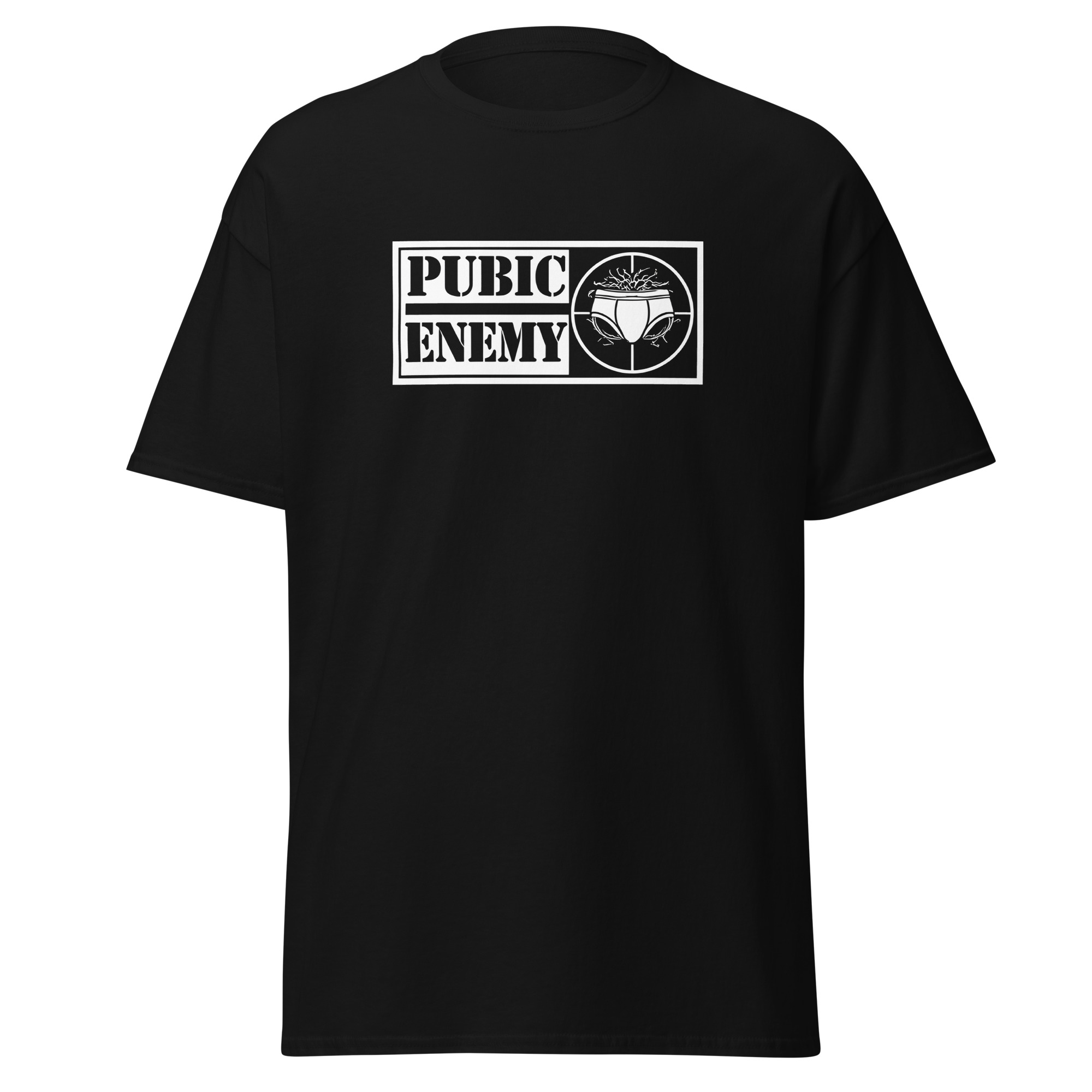 pubic enemy pubic enemy